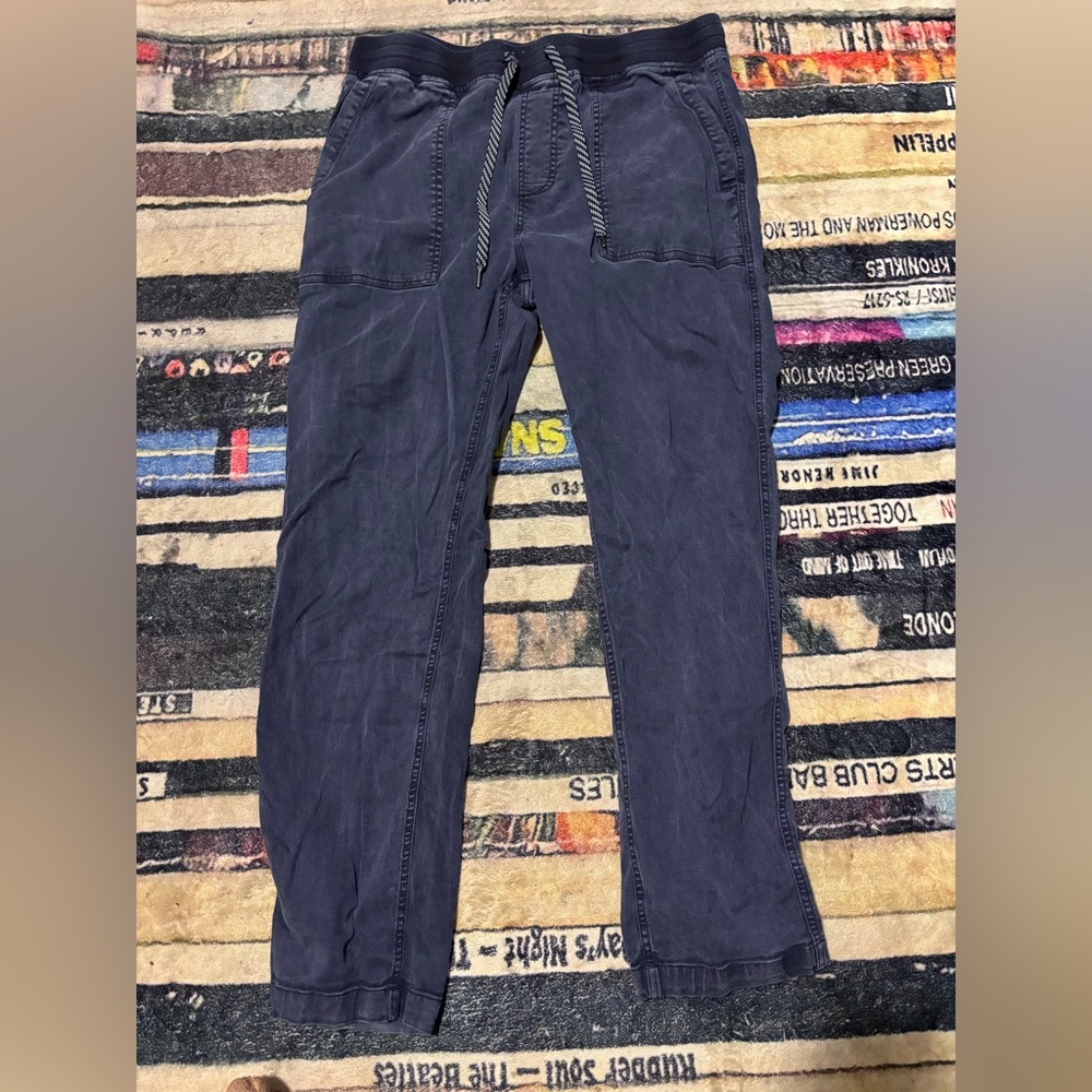 Joe's Jeans Blue Jogger pants medium